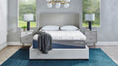 Molecule Hybrid x 14" Mattress