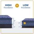 Sealy Forest Park Plush