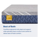 Sealy Park Plaza Medium Hybrid