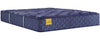 Sealy Forest Park Soft Tight Top Mattress