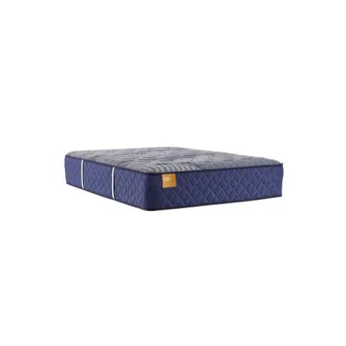 Twin Sealy Recommended Luxury Firm mattress (new in bag)